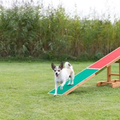 Euro Joe Fun Agility Seesaw -Euro Joe shop PHO PRO DOG 3213 4