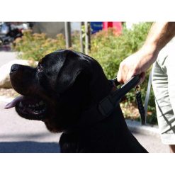 Euro Joe Wide Collar 50 Mm With Handle -Euro Joe shop bredehalsbandHV02