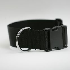 Euro Joe Collar "Cosmo"