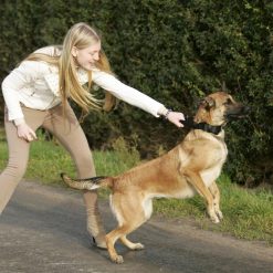 Euro Joe Collar "Grando" -Euro Joe shop halsbandnylonHV09