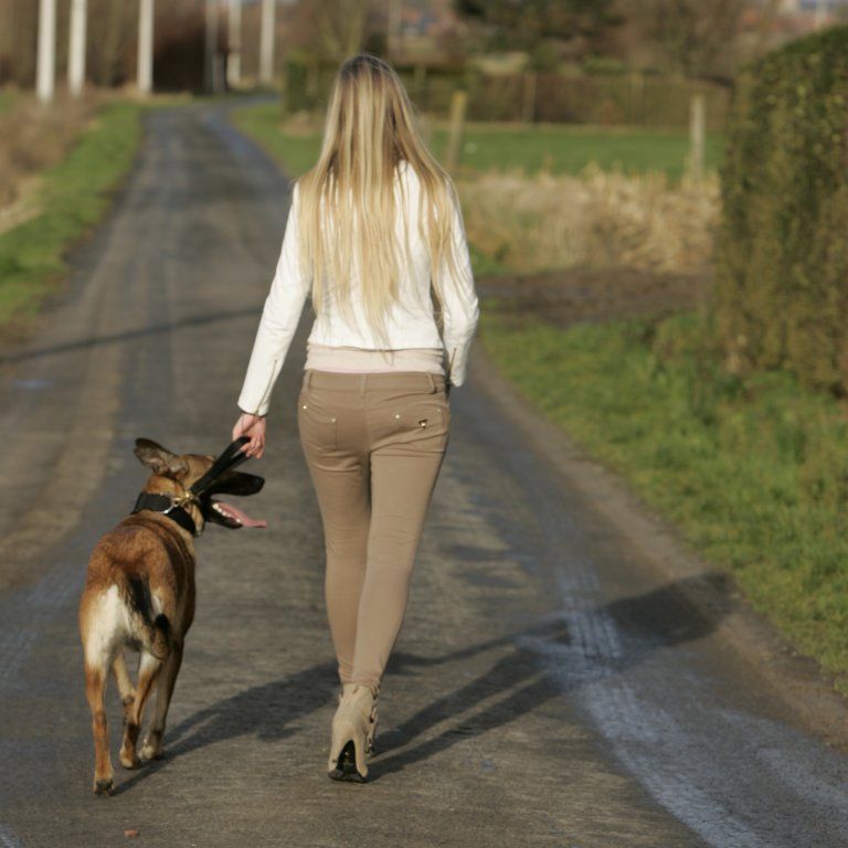 Short holder "Mickey" Euro Joe Short Holder "Mickey" -Euro Joe shop korthouder20polyester02