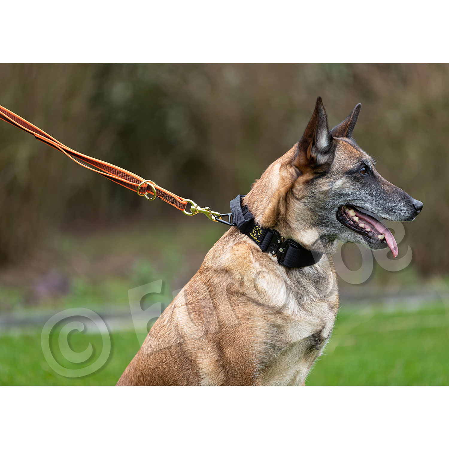 Reducable line "Lirka" Euro Joe Reducable Line "Lirka" -Euro Joe shop lirka 10