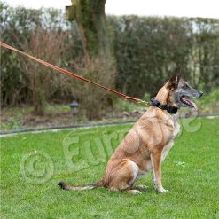 Euro Joe Reducable Line "Lirka" -Euro Joe shop lirka 11