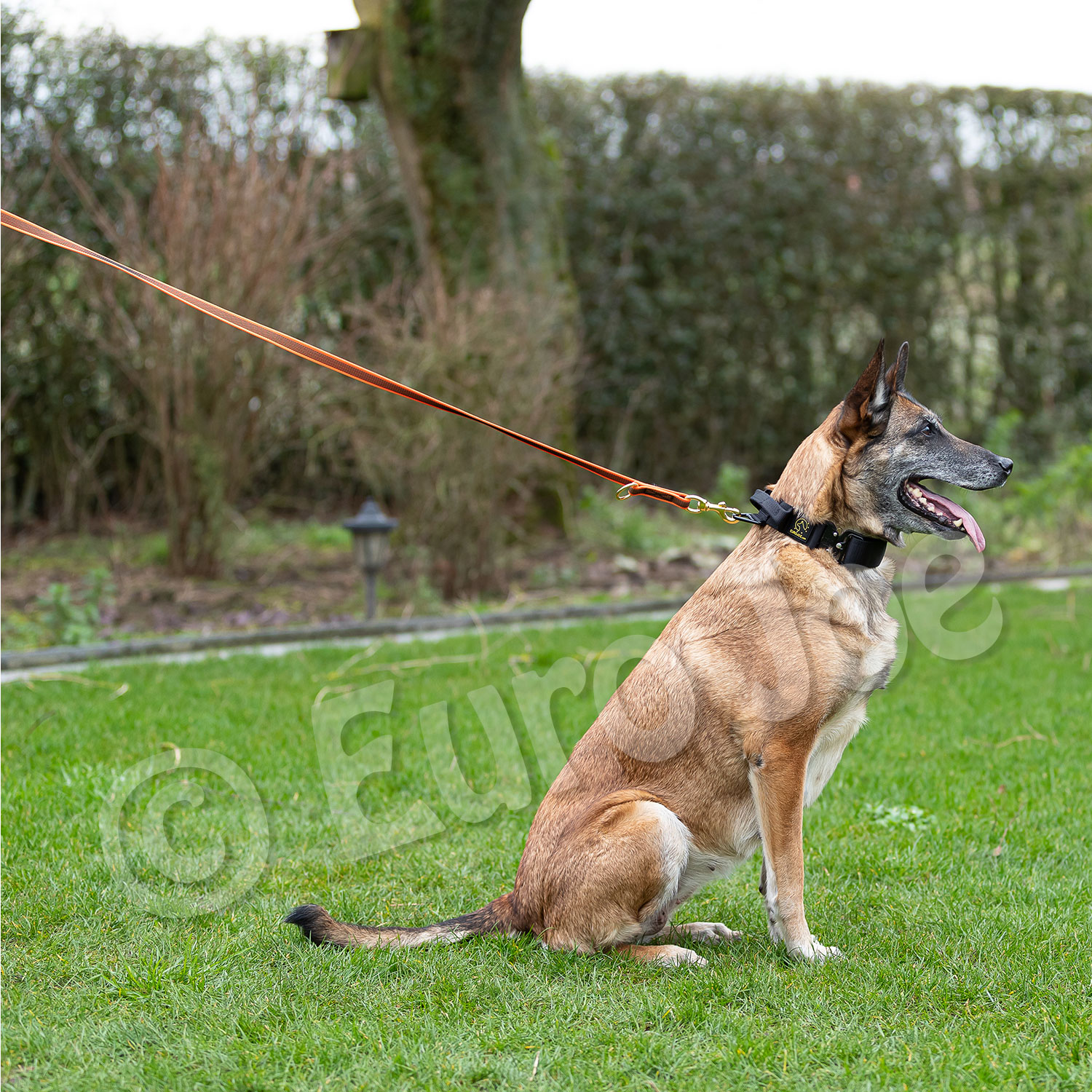 Reducable line "Lirka" Euro Joe Reducable Line "Lirka" -Euro Joe shop lirka 11