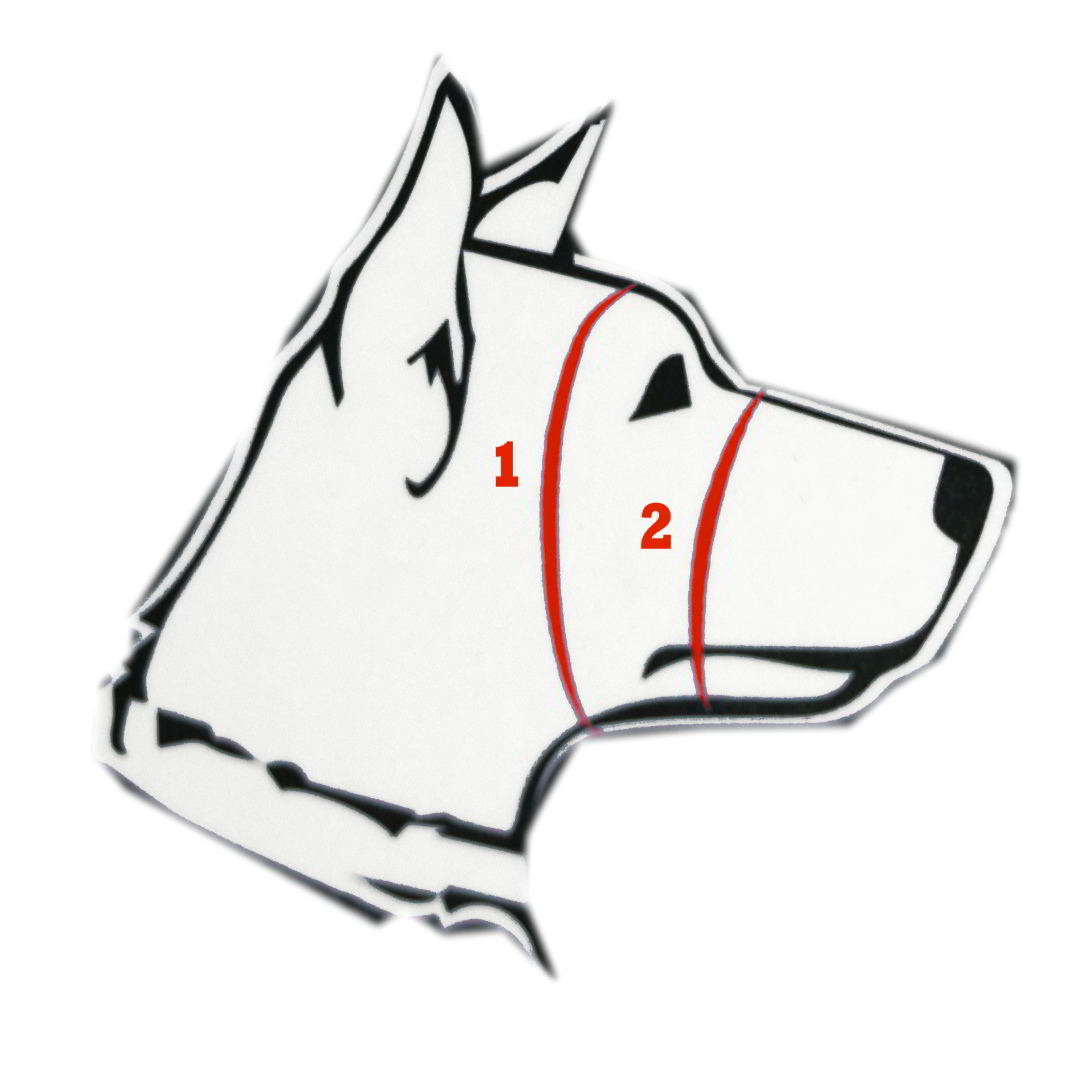 Dog goggles Euro Joe Dog Goggles -Euro Joe shop maatname