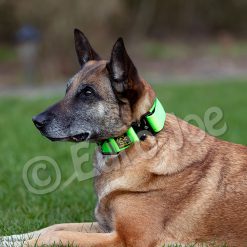 Euro Joe "Tactical Collar" 2.0 -Euro Joe shop tactical2 0 HV 01