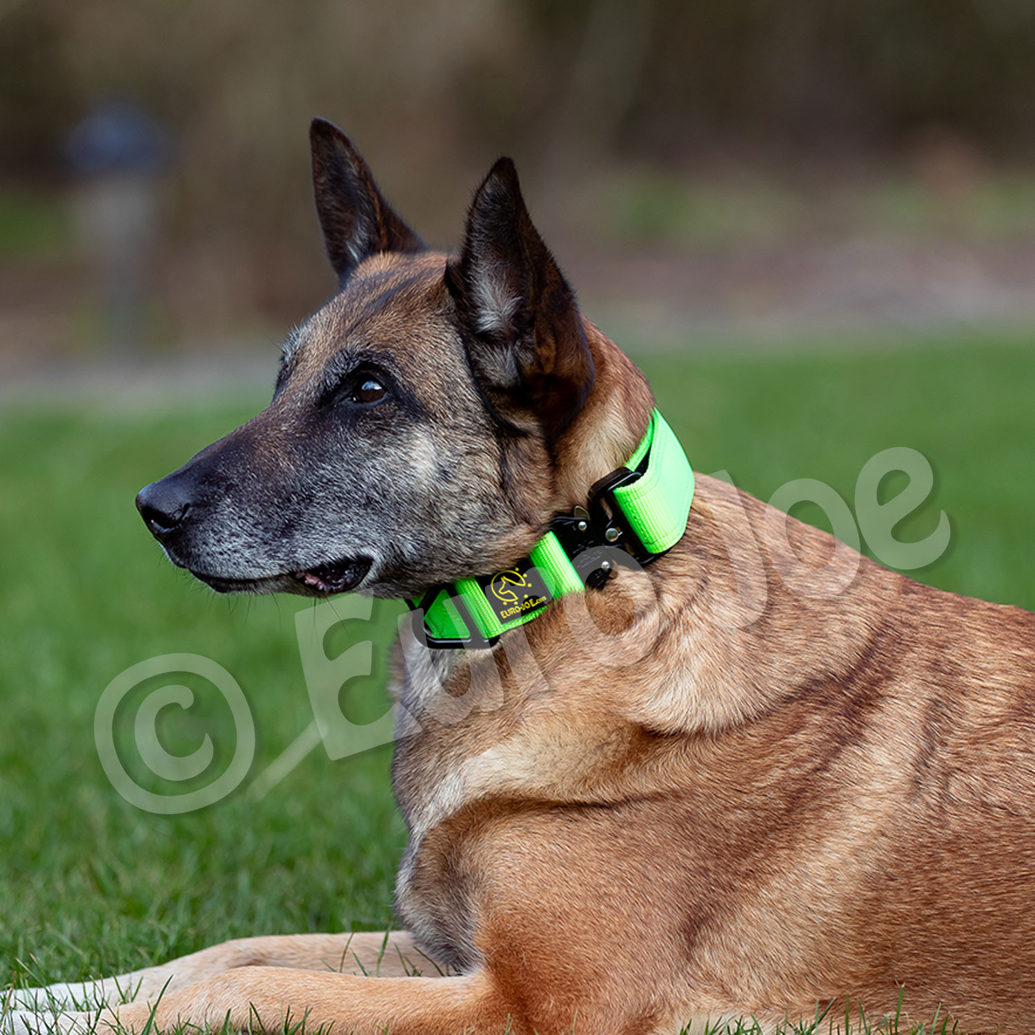 Euro Joe "Tactical Collar" 2.0 Euro Joe "Tactical Collar" 2.0 -Euro Joe shop tactical2 0 HV 01