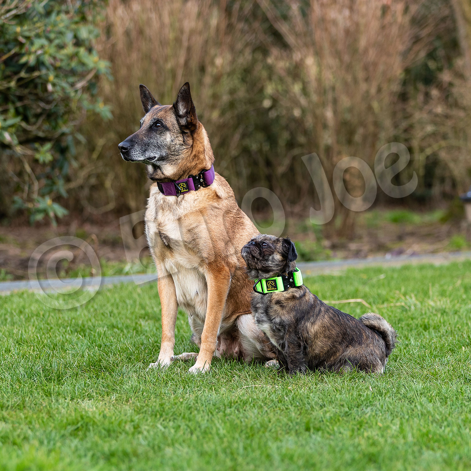 Euro Joe "Tactical Collar" 2.0 Euro Joe "Tactical Collar" 2.0 -Euro Joe shop tactical2 0 HV 07