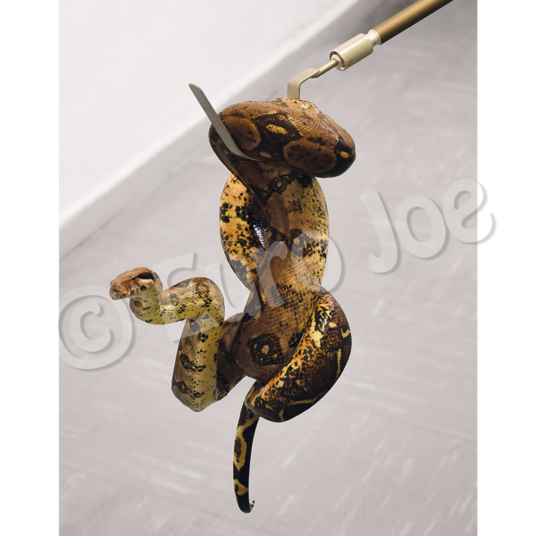 Reptile Catch Set Euro Joe Reptile Catch Set -Euro Joe shop vangkit reptielen02