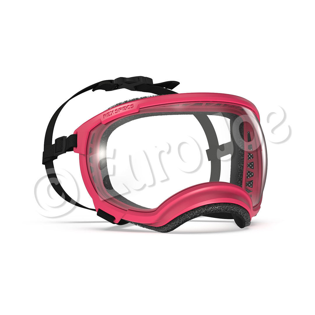 Dog goggles Euro Joe Dog Goggles -Euro Joe shop yazberry02